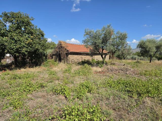 Rustico in vendita a Gallicano nel Lazio, Roma Capitale