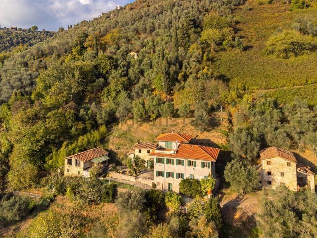 Rustico in vendita a Camaiore, Toscana