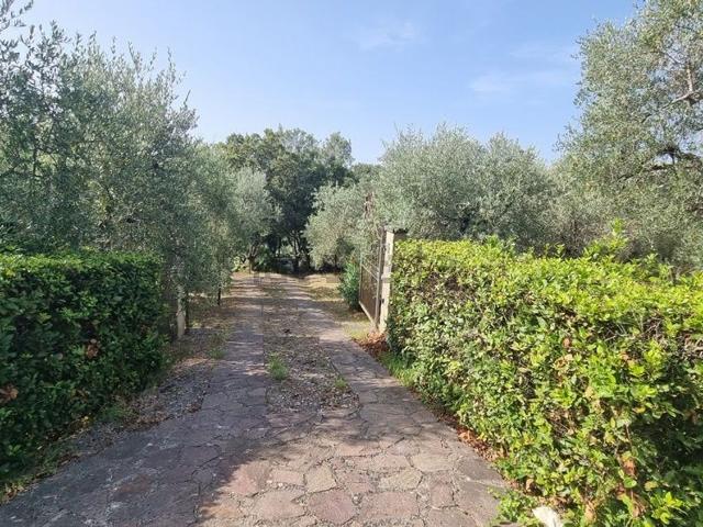 Rustico in vendita a Rio del Sole, Montescudaio