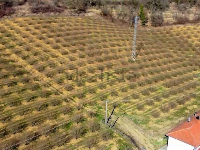 Rustico in vendita a Piemonte, Cuneo