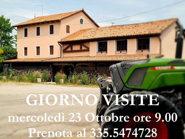 Rustico in vendita a Mogliano Veneto, Veneto