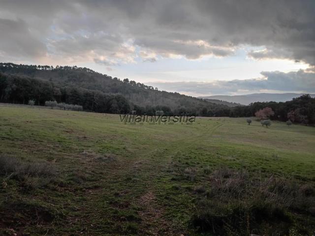 Rustico in vendita a Orli, Casole d'Elsa