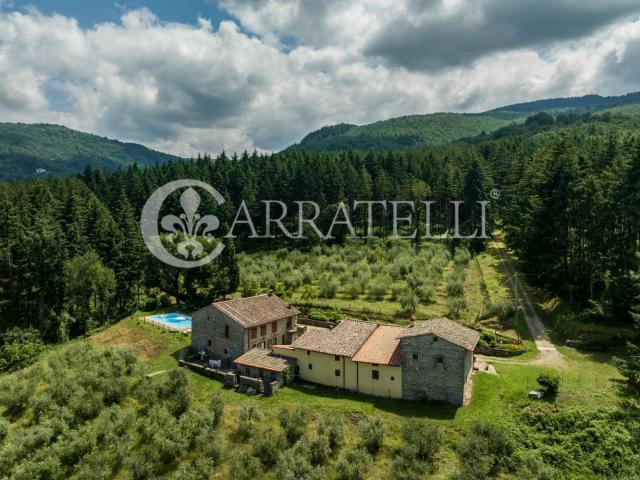 Rustico in vendita a Unione di Comuni Valdarno e Valdisieve, Pelago