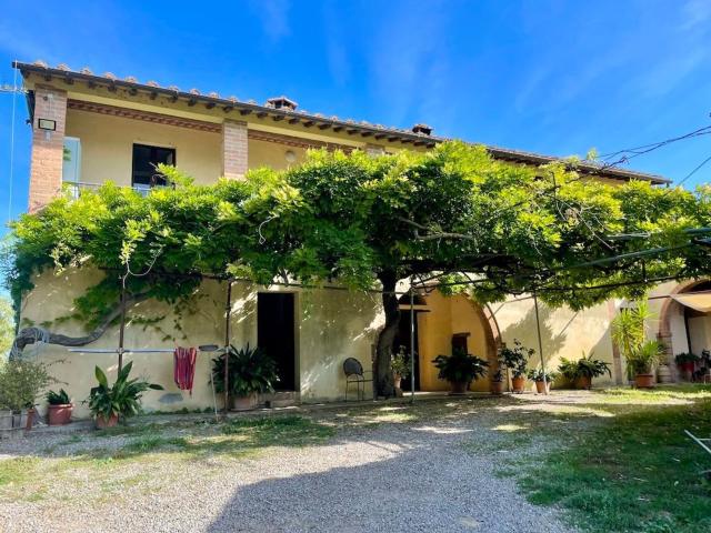 Rustico in vendita a Pieve di Piana, Buonconvento