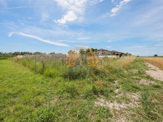 Rustico in vendita a Unione dei comuni del Sorbara, Bomporto