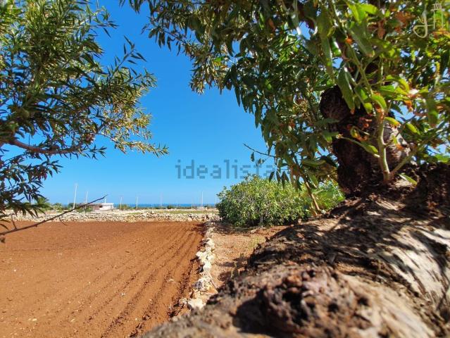 Rustico in vendita a Puglia, Bari