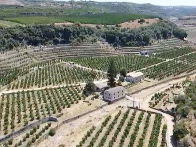 Rustico in vendita a Carlentini, Sicilia