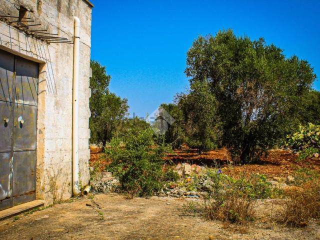 Rustico in vendita a Contrada Spierti, Puglia