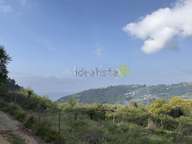 Rustico in vendita a San Biagio Della Cima, Liguria