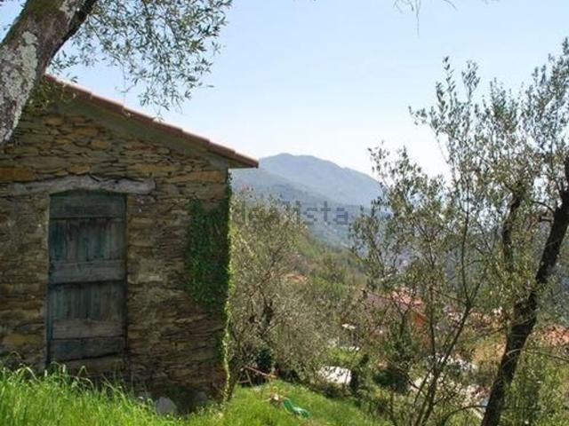 Rustico in vendita a Avegno