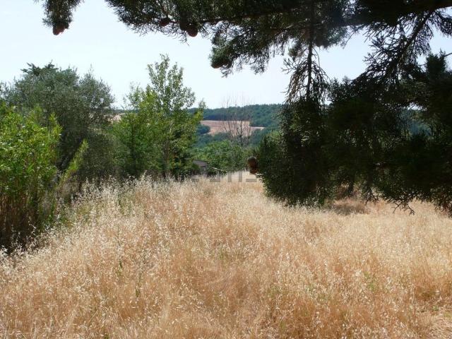Rustico in vendita a Radicofani, Toscana