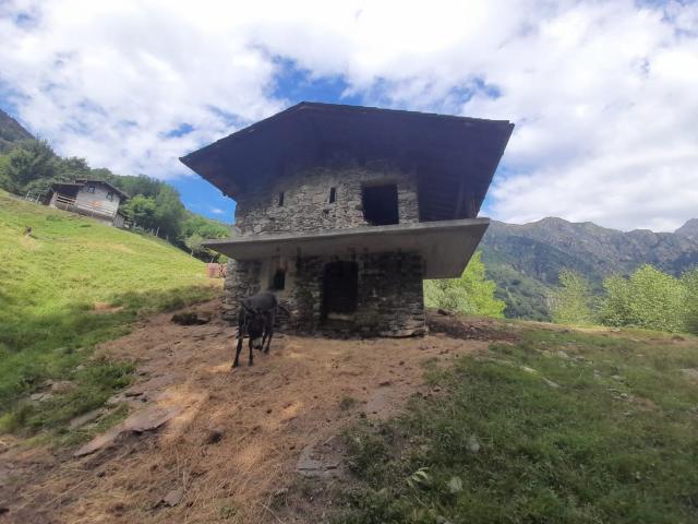 Rustico in vendita a Pian del Gorghiglio, Livo