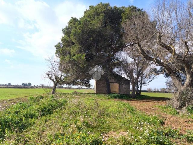 Rustico in vendita a Puglia, Lecce