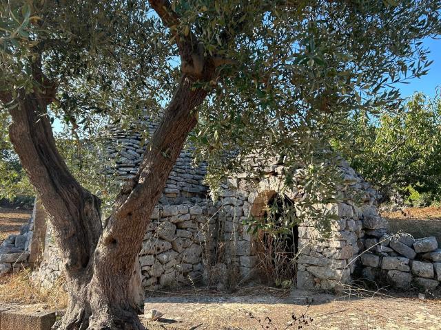 Rustico in vendita a Puglia, Bari