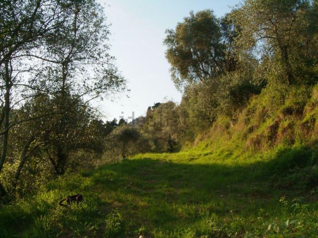 Rustico in vendita a Campiglioni, Camaiore