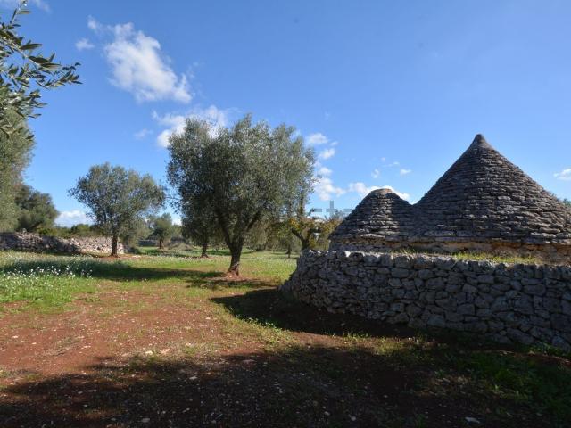 Rustico in vendita a Puglia, Brindisi