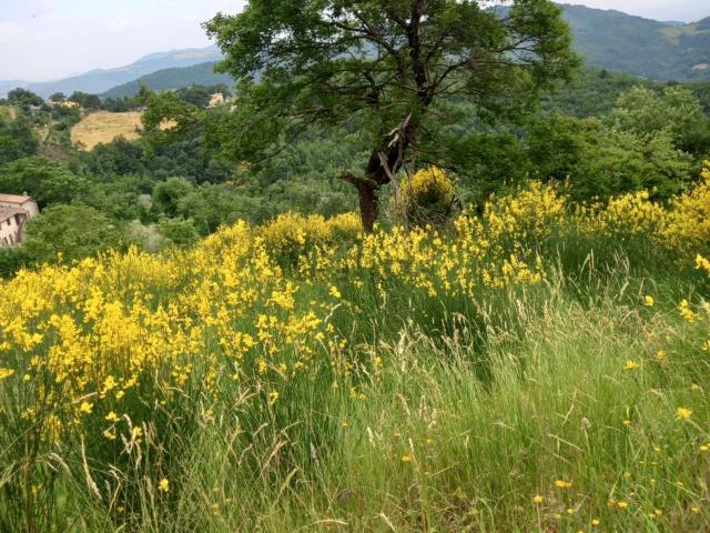 Rustico in vendita a Ponticelli, Deruta