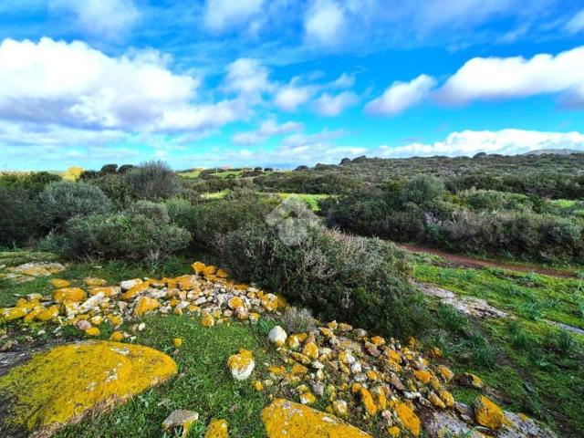 Rustico in vendita a Calasetta, Sardigna/Sardegna