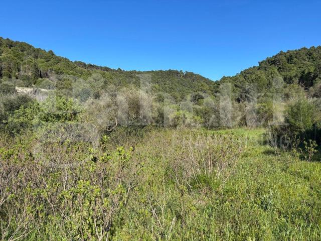 Rustico in vendita a Chiaramonte Gulfi, Ragusa