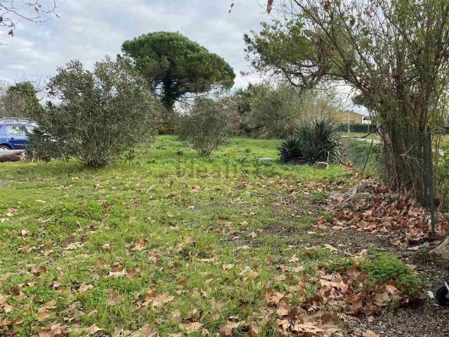 Rustico in vendita a Ospedaletto, Pisa