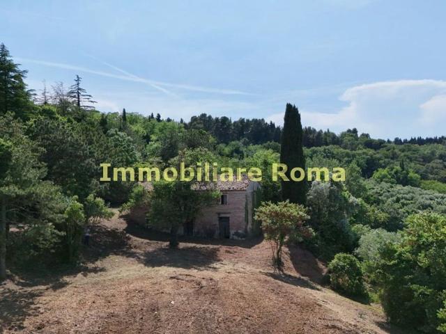 Rustico in vendita a Colli al Metauro, Marche