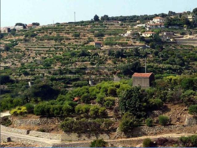 Rustico in vendita a Bordighera, Provincia di Imperia