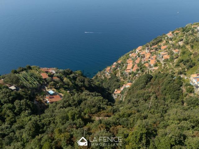 Rustico in vendita a Campiglia, La Spezia