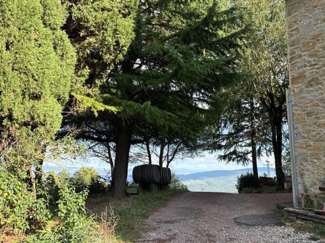 Rustico in vendita a Sassi Bianchi, Chianni