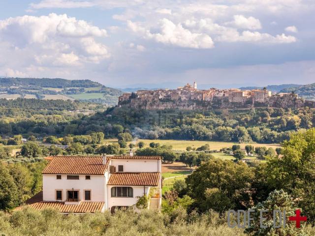 Rustico in vendita a Penna In Teverina, Umbria