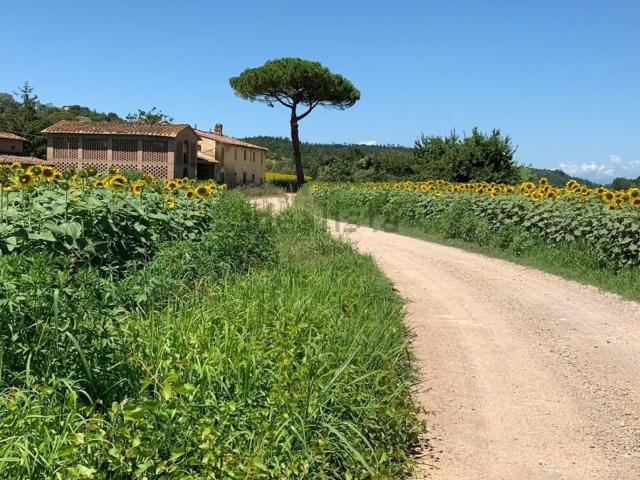 Rustico in vendita a Unione dei Comuni Circondario dell'Empolese Valdelsa, Montaione