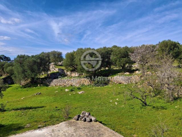 Rustico in vendita a Contrada Badessa, Puglia