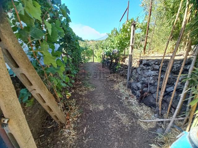 Rustico in vendita a Piedimonte Etneo, Sicilia