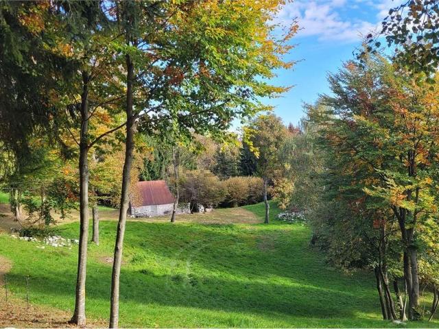 Rustico in vendita a Caneva, Friuli-Venezia Giulia