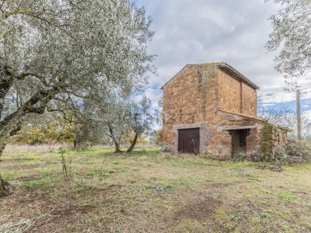 Rustico in vendita a Madonna del Ponte, Vetralla
