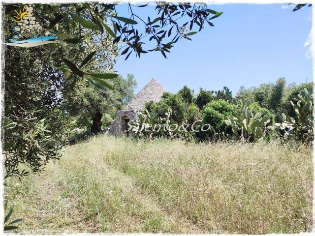 Rustico in vendita a Puglia, Brindisi