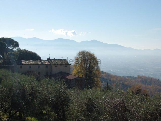 Rustico in vendita a Capannori, Toscana