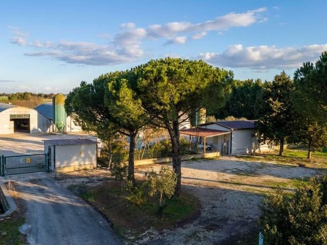 Rustico in vendita a Gioiella, Umbria