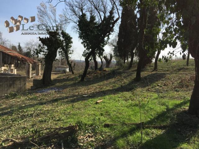 Rustico in vendita a Lonigo, Veneto