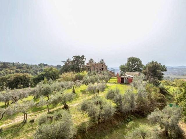 Rustico in vendita a Monteleone d'Orvieto, Terni