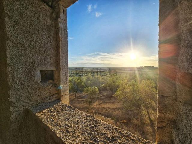 Rustico in vendita a Puglia, Bari