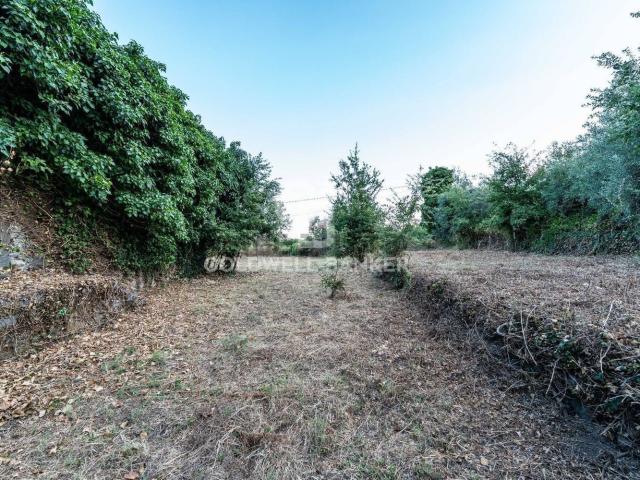Rustico in vendita a Giarre, Sicilia
