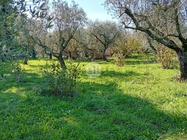 Rustico in vendita a Castel Sant'Elia, Viterbo