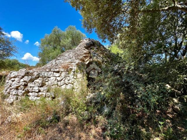 Rustico in vendita a Puglia, Brindisi