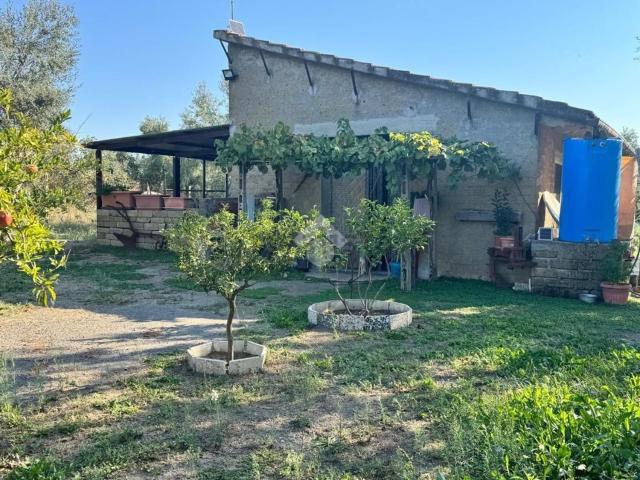 Rustico in vendita a Arlena di Castro, Viterbo