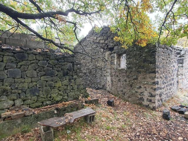Rustico in vendita a Santa Maria Di Licodia, Sicilia