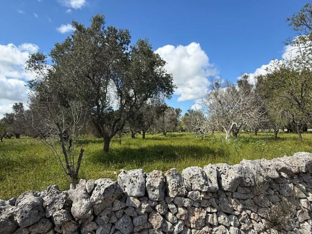 Rustico in vendita a Puglia, Brindisi