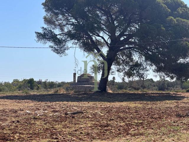 Rustico in vendita a Carovigno, Brindisi