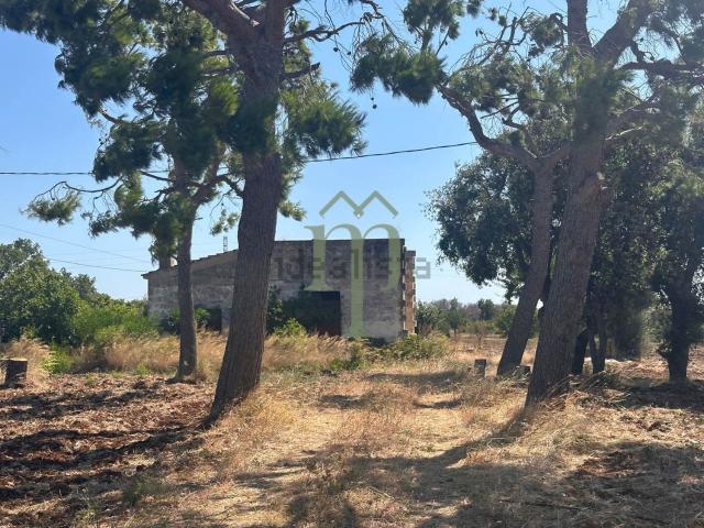 Rustico in vendita a Puglia, Brindisi