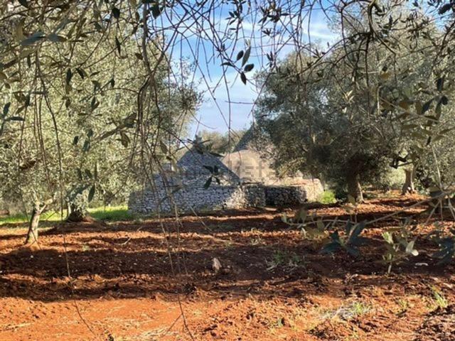 Rustico in vendita a Francavilla Fontana, Brindisi