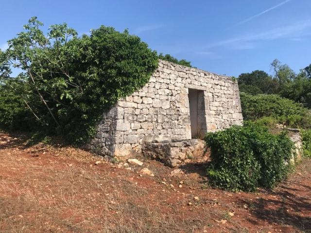 Rustico in vendita a Puglia, Brindisi